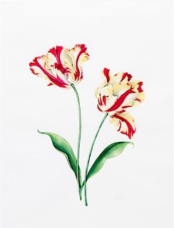 Artist Unknown, (20th Century), Tulip Studies (three works)