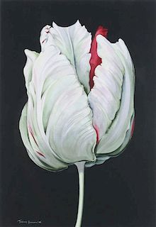 Tobias Hodson, (20th Century), Florals