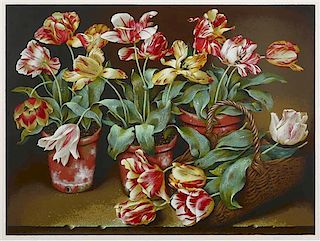 Tobias Hudson, (20th Century), Tulips
