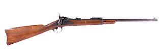 Springfield Model 1884 Trapdoor .45-70 Carbine