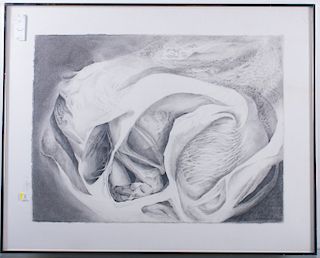 Cynthia Young "Fragment #3" Graphite Drawing