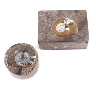 Prehistoric Ammonite Fossil Jewelry Boxes
