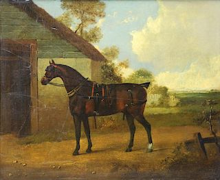 19th Century Oil on Panel. Portrait of a Horse.
