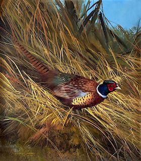 The Ever Present Pheasant by Michael Coleman