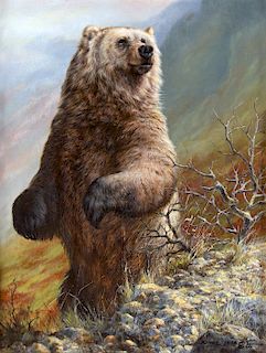 Grizzly Bear by Jorge Mayol