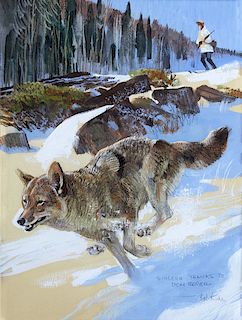 Coyote (Illustration) by Bob Kuhn