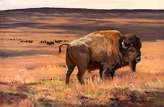 Bison by Ken Carlson