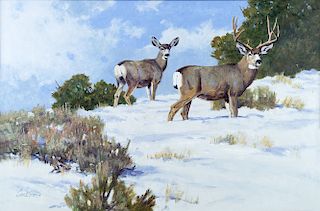 Mule Deer by Ken Carlson