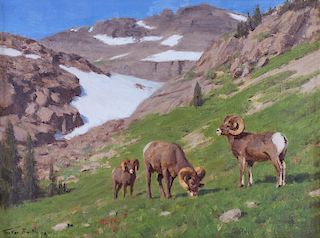 Big Sheep Mountain by Tucker Smith