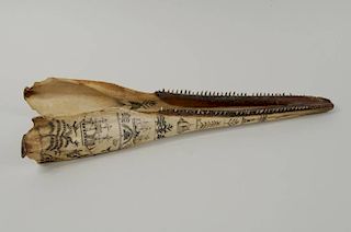 Early Scrimshaw Dolphin Jaw Bone