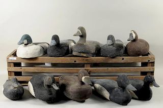 10 Carved & Painted Duck Decoys