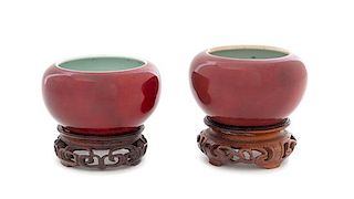 * A Pair of Chinese Sang-de-Boeuf Glazed Porcelain Water Coupes Height of each 2 inches.