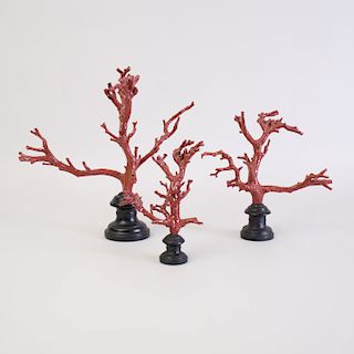 Three Tozai Home Faux Coral Specimens on Ebonized Wood Stand