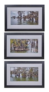 Luke Fontana, "The Atchafalaya Basin," group of three photographs, each signed lower margin, presented in matching black metal frames, H.- 10 1/2 in.,