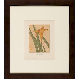 ARTHUR WESLEY DOW Ipswich print, Lily