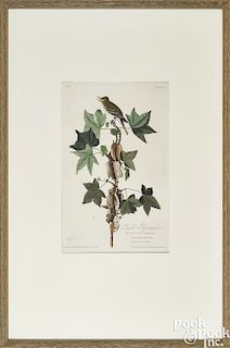 John James Audubon engraving