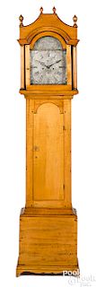 New Hampshire Federal birch tall case clock