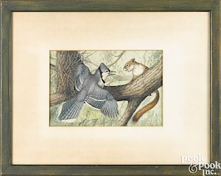 Earl Lincoln Poole, watercolor of a blue jay and squirrel
