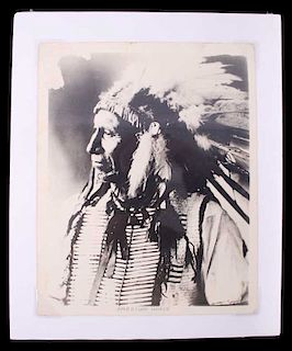 Original Chief American Horse Portrait c.1900