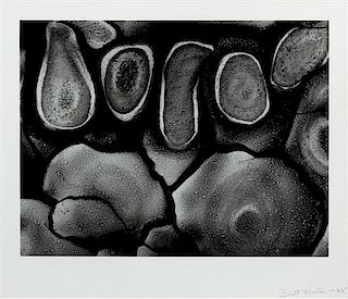 Brett Weston, (American, 1911-1993), Mud Cracks Death Valley, 1968
