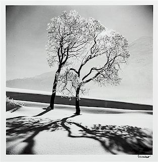 Alfred Eisenstaedt, (American, 1898-1995), Trees in Snow, St. Moritz, Switzerland, 1947