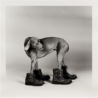 William Wegman, (American, b. 1943), Untitled Dog Wearing Boots (Fay Ray), 1989