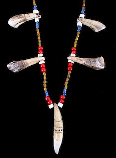 Plains Indian Buffalo & Bear Tooth Necklace