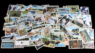 100 Yellowstone National Park Post Cards by Haynes