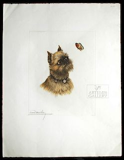 Signed Danchin Engraving - Dog w/ Butterfly - 1930s