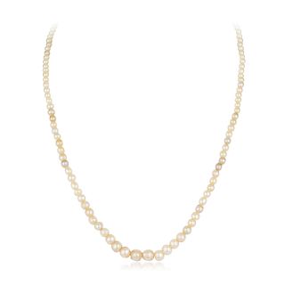Single Strand Natural Pearl Necklace