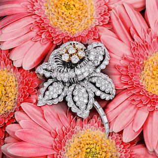 David Webb Diamond Platinum Flower Brooch