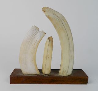 3 Ivory tusks