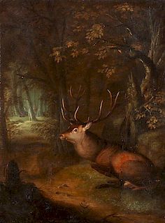 Johann Elias Ridinger, (German, 1695-1767), Stag in Woods