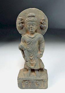 Gandharan Schist Figure - Standing Buddha