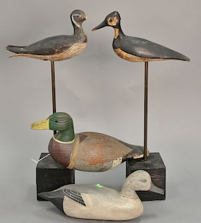 Fifteen decoys including 13 ducks and 2 shorebirds. lg. 13 in. to 19 in.