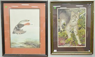 Two Sallie Ellington Middleton prints including "Flying Duck" and "Bobcat", both pencil signed and numbered, approximate sight size ...