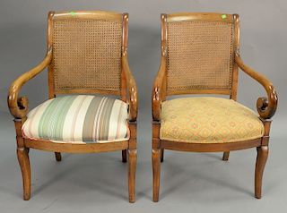 Pair of fruitwood caned back armchairs.