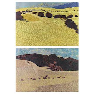 DIGIORGIO, Joseph. Two Oil Pastels "Desert Series"