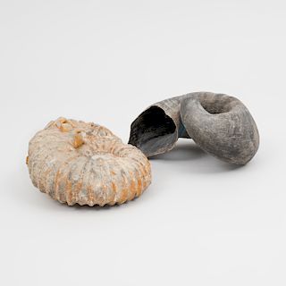 Fragment of a Ram Horn and an Ammonite
