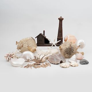 Group of Shells and Marine Objects