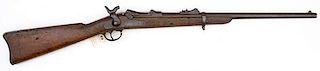 Springfield Model 1873/79 Carbine 