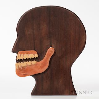 Articulated Model of a Jaw
