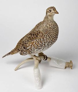 Taxidermy Grouse Sitting on Antler 