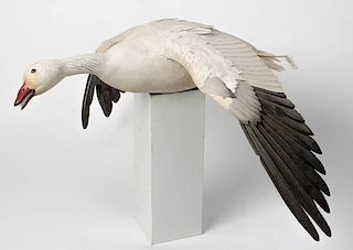 Carving of Snow Goose 