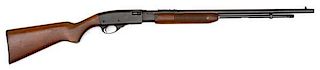 *Remington Model 572 Fieldmaster 
