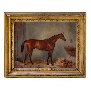 British, 19th c. "Silvio,"equestrian portrait, oil