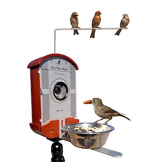 Bryson Lovett, Bird Photo Booth