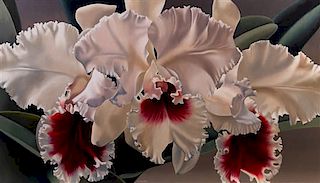 * Winifred Godfrey, (American, b. 1944), White Orchids with Crimson