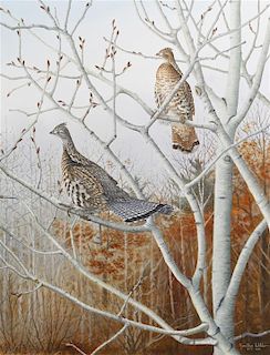 Jonathan Wilde, (Wisconsin, b. 1948), Perched High in the Tree