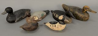 Group of six duck decoys including Brown Goldeneye hen, tag on Brown attributing it to Adams, painted decoy marked D.L., two small p...